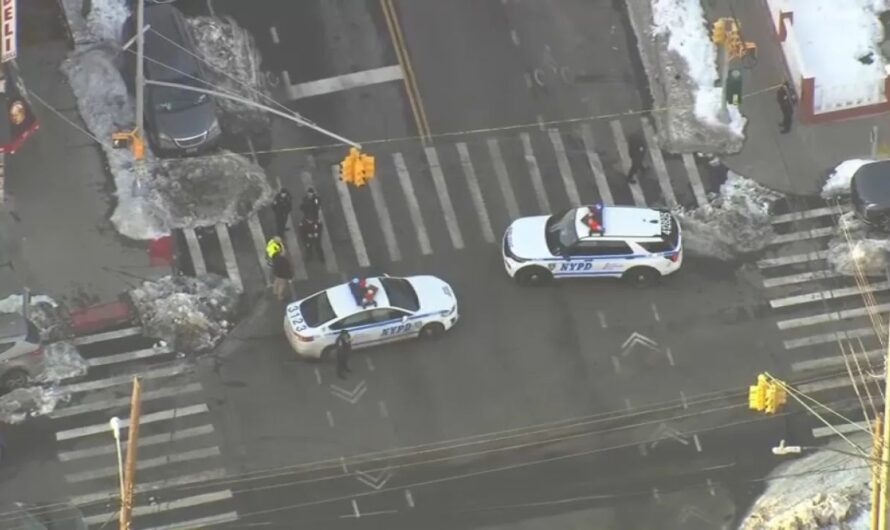 Brooklyn School Bus Hit-and-Run Kills 11-Year-Old Girl, Driver Taken in for Questioning