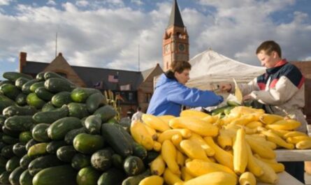 Cheyenne 1st Saturday Farmers Market, WY 2026: Dates, Vendors, Free Admission & What to Expect