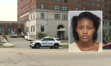 Cincinnati Woman Sentenced to Prison After Driving Into Three Young Children Following Apartment Dispute