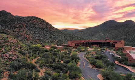 Dove Mountain Art Show, Arizona 2026 Dates, Location, Hours, and Event Details