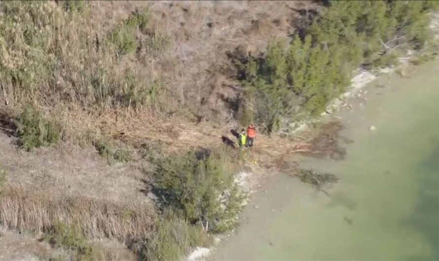Driver Killed After Car Plunges Into Canal in Southwest Miami-Dade, Two Passengers Critically Hurt