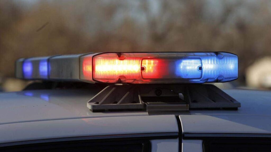 Florida Double Homicide Ends in Suspect’s Suicide After High-Speed I-75 ...