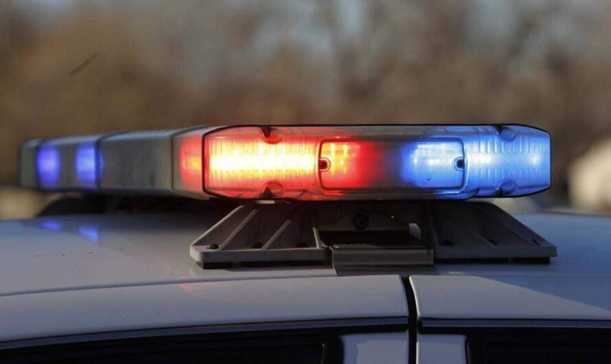 Florida Double Homicide Ends in Suspect’s Suicide After High-Speed I-75 Chase