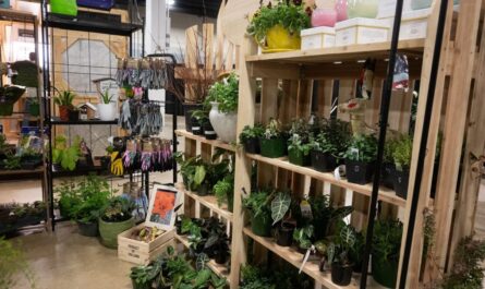 Greenville Spring Home and Garden Show, SC 2026 Event Dates, Exhibits, Experts & What to Expect