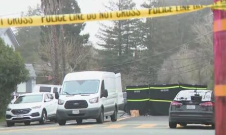 Walnut Creek Man Fatally Shot by Police; Mother Says He Struggled With Schizophrenia