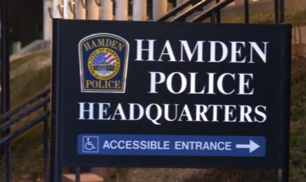 Hamden Woman Faces Animal Cruelty Charges After Dogs Found With Severe Injuries