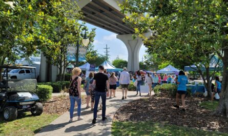 Houma Spring Market at the Marina, LA 2026 Event Details, Fresh Produce, Handmade Goods & What to Expect