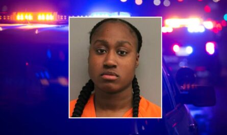 Houston Woman Charged With Murder After Boyfriend Dies Weeks Following Screwdriver Stabbing, Police Say