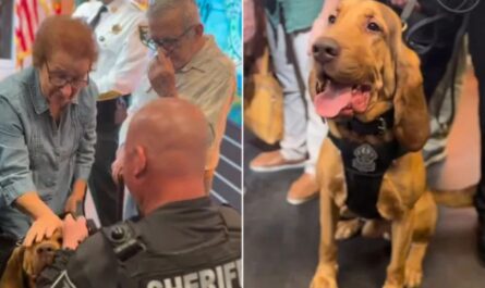 Lee County Search Ends in Joyful Reunion After Missing 78-Year-Old Found in Buckingham Preserve