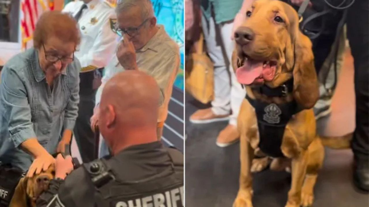 Lee County Search Ends in Joyful Reunion After Missing 78-Year-Old Found in Buckingham Preserve