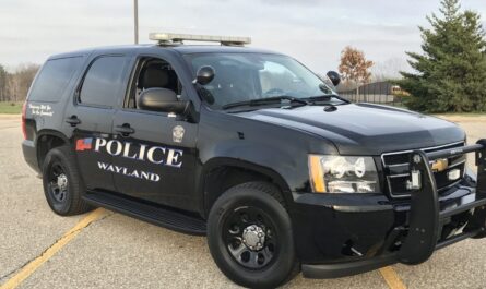 Michigan Woman Sentenced to Over Six Years in Prison for Impersonating Nurse Using Stolen Identities