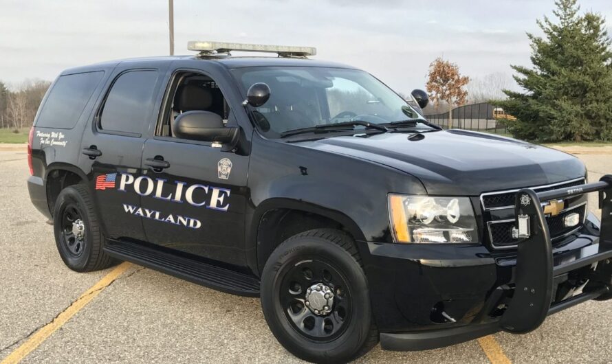 Michigan Woman Sentenced to Over Six Years in Prison for Impersonating Nurse Using Stolen Identities