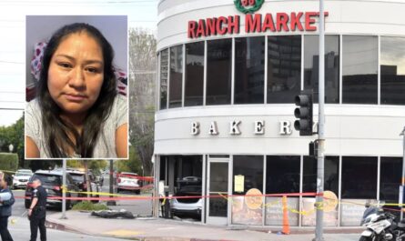 Mother of Young Children Identified Among Victims in Fatal 99 Ranch Market Crash