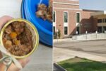Nonverbal Student Allegedly Given Dog Food, Police Confirm Investigation