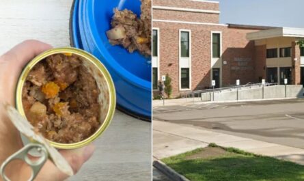Nonverbal Student Allegedly Given Dog Food, Police Confirm Investigation