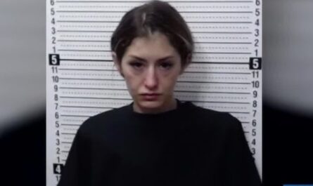 North Texas Dentist Arrested After Allegedly Performing Procedure on Child While Intoxicated