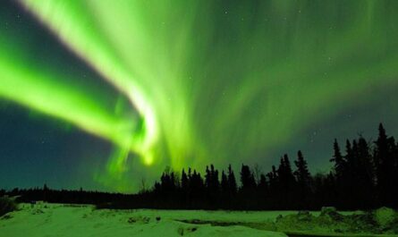 Northern Lights Winter Market Fairbanks, Alaska 2026 Dates, Location, Hours, and Event Details