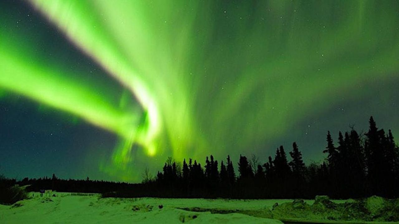 Northern Lights Winter Market Fairbanks, Alaska 2026 Dates, Location, Hours, and Event Details