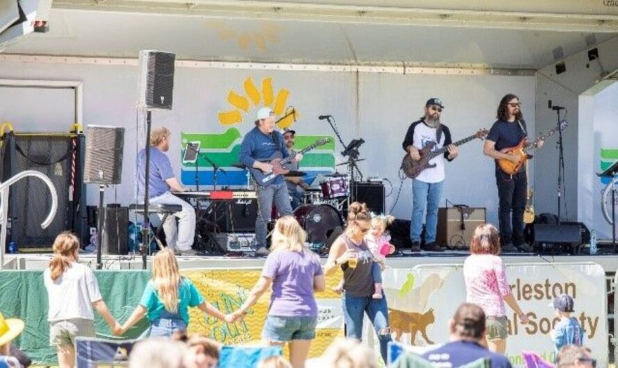 Palmetto Park Spring Jam in Mount Pleasant, SC 2026: Event Details, Live Music, Vendors & What to Expect