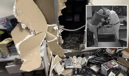 Pokémon Card Heist Thieves Tunnel Into Anaheim Shop, Steal Nearly $200K in Rare Collectibles