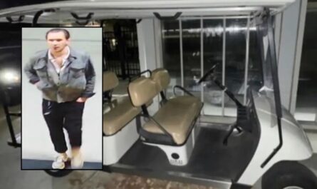 Slickly Dressed Thief Sought After $15K Golf Cart Stolen From Christian School