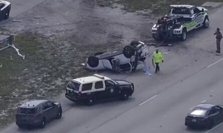 Driver With Active Warrant Arrested After I-595 Chase Ends in Rollover Crash in Davie