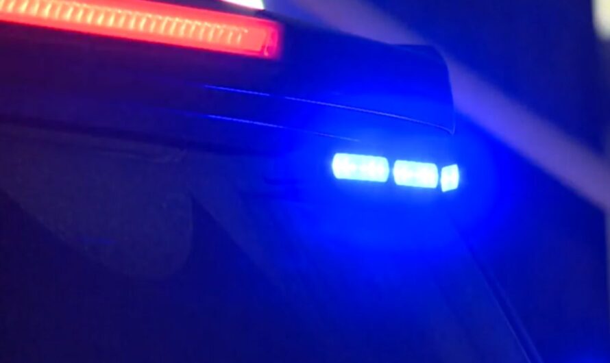 Stranded Driver Killed on Interstate While Waiting for Officer to Return With Gas, Texas Officials Say