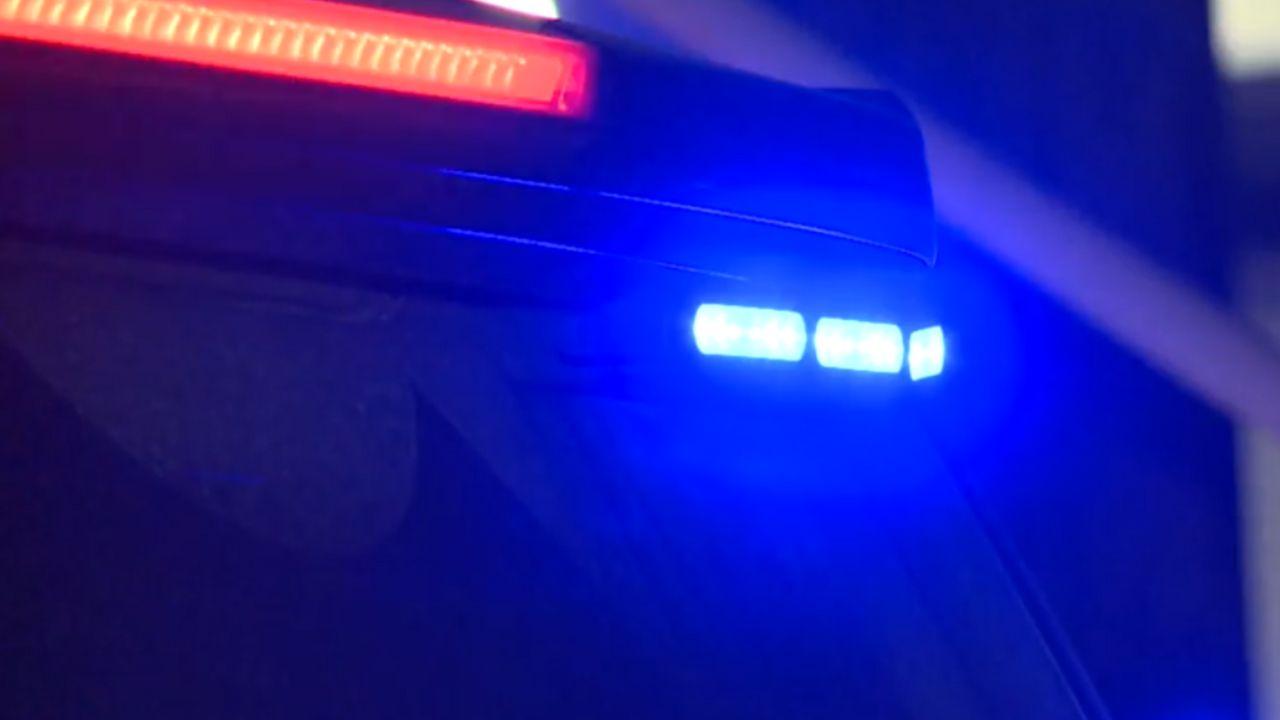 Stranded Driver Killed on Interstate While Waiting for Officer to Return With Gas, Texas Officials Say