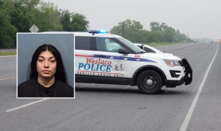 Texas Mother Hit With New Charges Months After Infant’s Death in Unattended Car