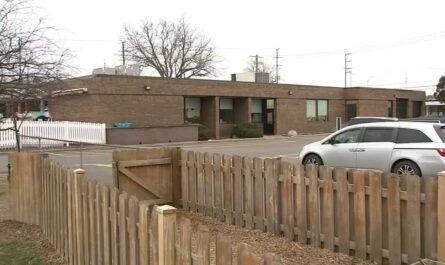 Two Daycare Workers Charged After Allegedly Batter_ing Children at Des Plaines Facility