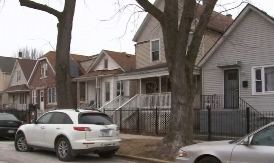 West Pullman Man and His Dog Shot After Confronting Speeding Driver on Far South Side