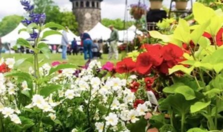 Wilmington Flower Market, DE 2026 Event Dates, Vendors, Entertainment & What to Expect