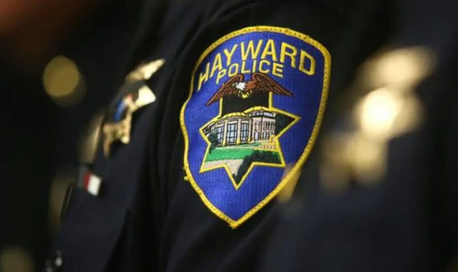 Woman Killed, 6-Year-Old Injured in Hayward Crosswalk Crash
