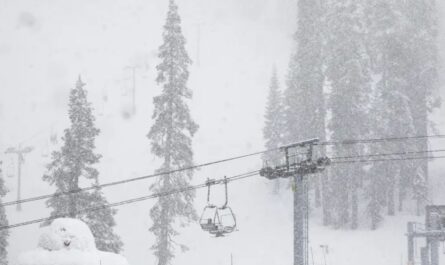 8-Year-Old Airlifted After 30-Foot Fall from Chairlift at California Ski Resort