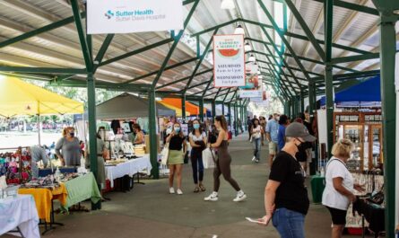 Davis Sunday Craft and Vintage Fair 2026 Brings Handmade Goods, Vintage Finds and Local Flavor to Central Park