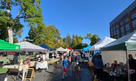 Fort Collins Farmers Market 2026 Returns With Fresh Produce, Handmade Goods and Free Entry