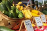 Hendricks County Spring Wednesday Farmers Market Returns Danville in 2026 With 35+ Vendors, Fresh Produce and Local Goods