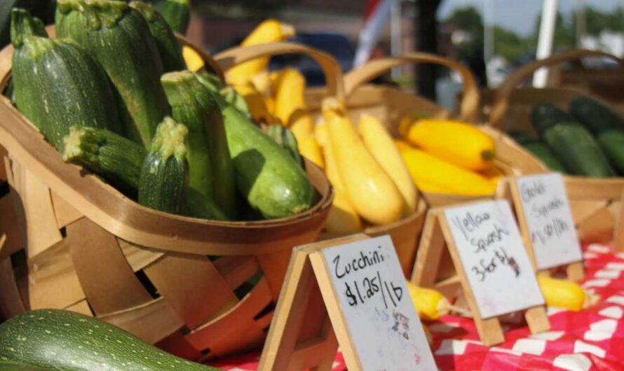 Hendricks County Spring Wednesday Farmers Market Returns Danville in 2026 With 35+ Vendors, Fresh Produce and Local Goods