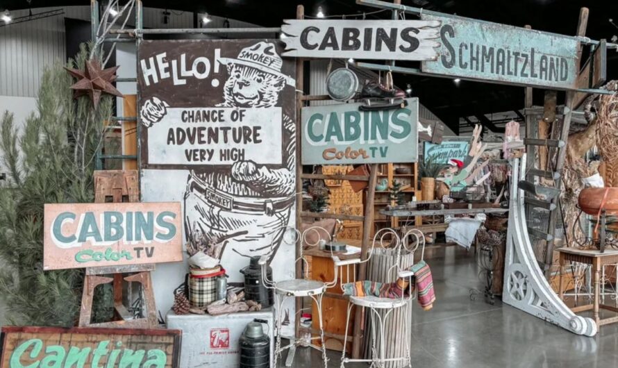 Monroe Vintage Market Returns Washington in 2026 With Unique Finds, Food Trucks and Live Music