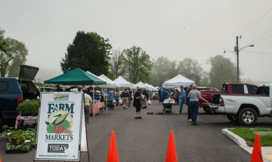 Oak Ridge 2nd Saturday Farmers Market Returns Tennessee in March 2026 With Local Produce, Artisans and Live Music