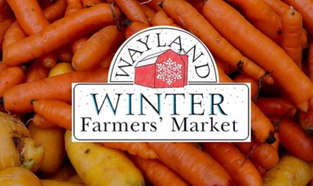 Wayland Spring Farmers Market Returns Massachusetts in 2026 With Fresh Produce, Local Foods and Artisan Vendors