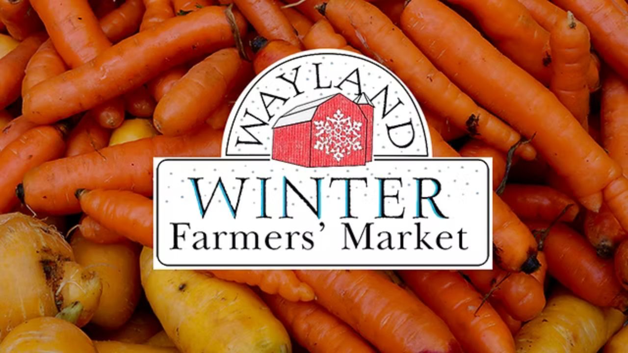 Wayland Spring Farmers Market Returns Massachusetts in 2026 With Fresh Produce, Local Foods and Artisan Vendors