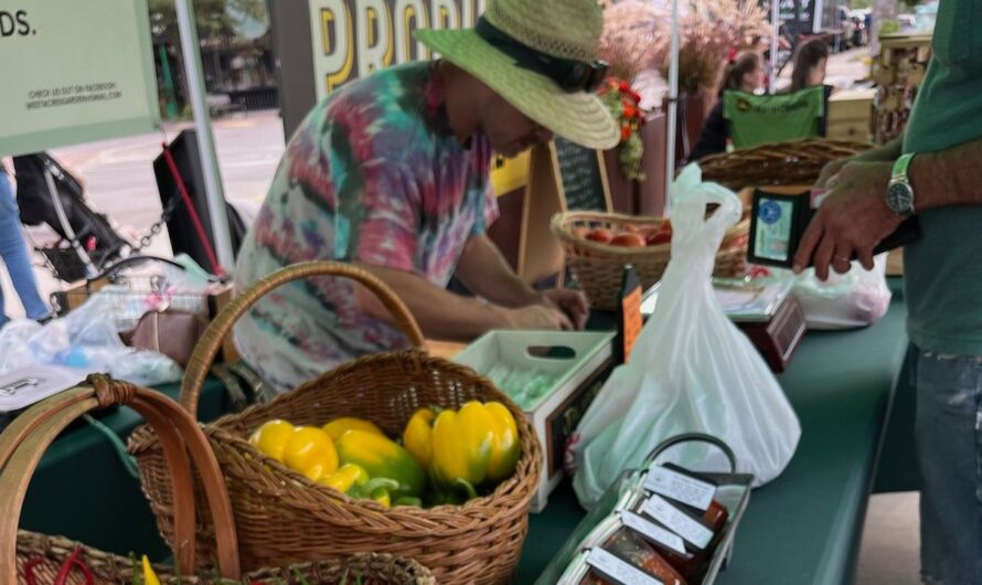 Aberdeen Spring Farmers Market 2026 in Aberdeen, SD: Dates, Location, Vendors, and What to Expect