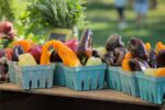 Delmar Spring Farmers and Artisans Market 2026 in Delmar, DE Dates, Location, Vendors, and What to Expect