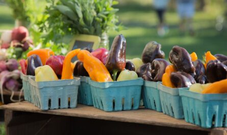 Delmar Spring Farmers and Artisans Market 2026 in Delmar, DE Dates, Location, Vendors, and What to Expect
