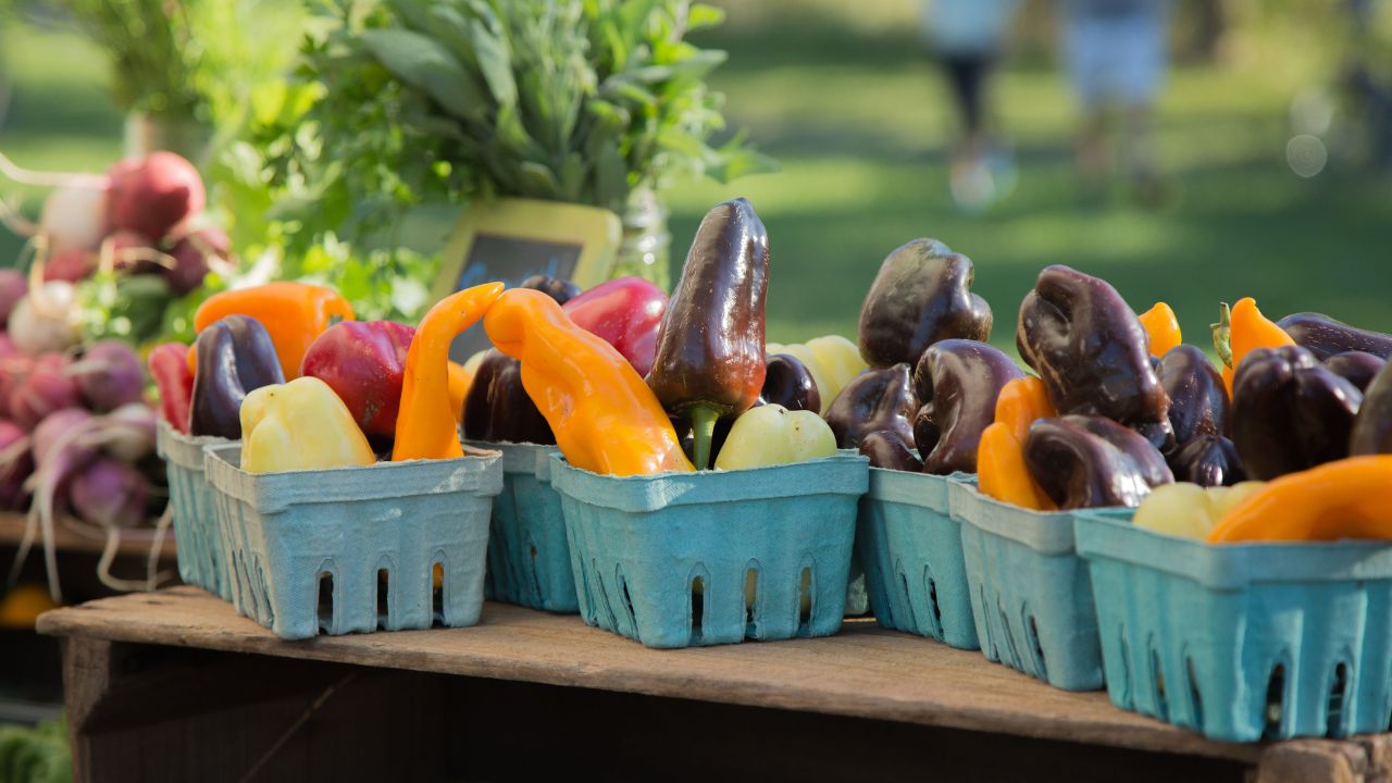 Delmar Spring Farmers and Artisans Market 2026 in Delmar, DE Dates, Location, Vendors, and What to Expect