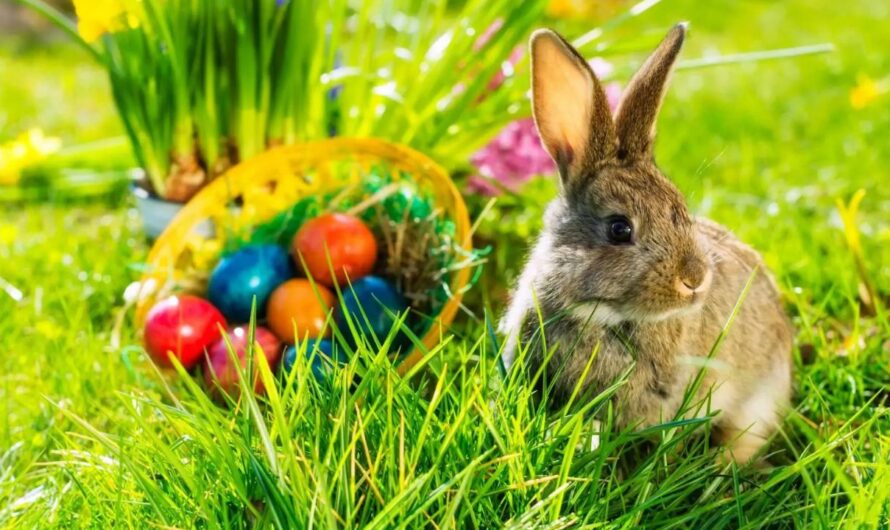 Easter Weekend in Albuquerque 2026: Desert Landscapes, Cultural Traditions, and a Unique Spring Celebration