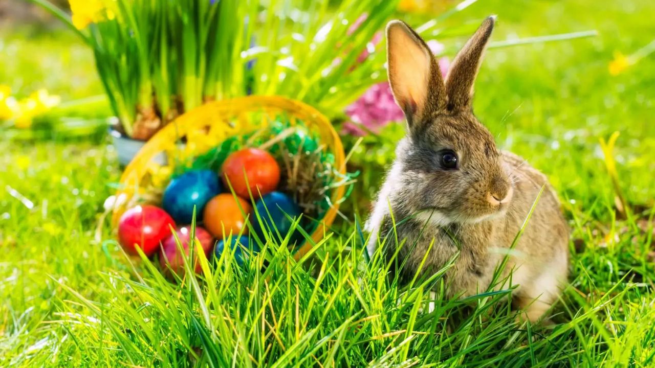 Easter Weekend in Albuquerque 2026 Desert Landscapes, Cultural Traditions, and a Unique Spring Celebration