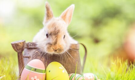 Easter Weekend in Boise 2026 Hidden Gem Charm, Outdoor Fun, and a Peaceful Spring Escape