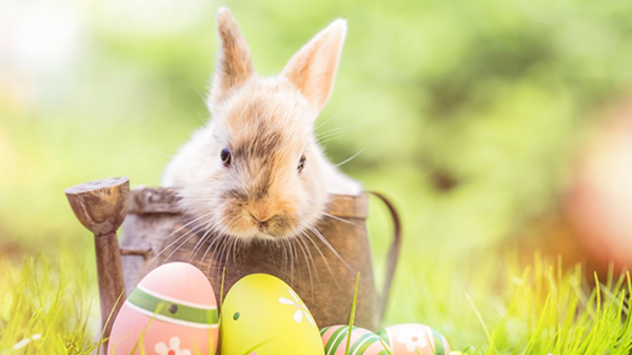 Easter Weekend in Boise 2026 Hidden Gem Charm, Outdoor Fun, and a Peaceful Spring Escape